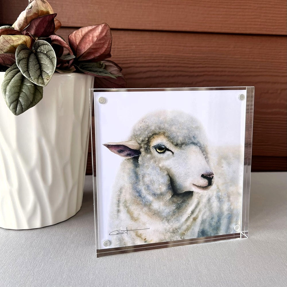 Framed desk art of a sheep 