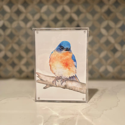 Eastern-Bluebird-2-Watercolor-Art-in-Acrylic-Block-Frame-1