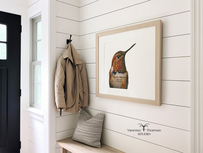 Rufous Hummingbird Watercolor Art Print – Hummingbird Art – Fine Art Giclée