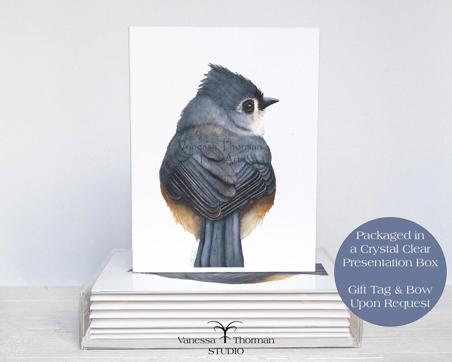 Tufted Titmouse II - Bird Note Cards