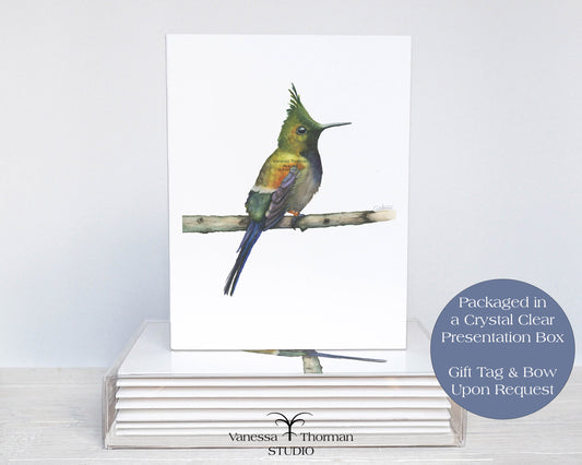 Coquette Hummingbird - Bird Note Cards