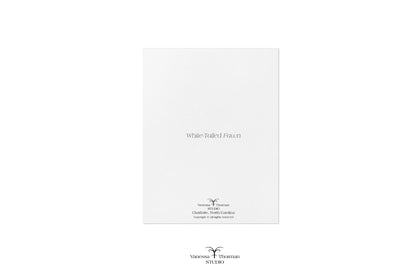 Fawn Notecards| White-Tailed Deer | Set of 8 Blank Greeting Cards