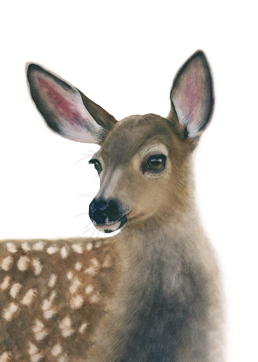 White-Tailed Fawn Watercolor Fine Art Print | Deer Art