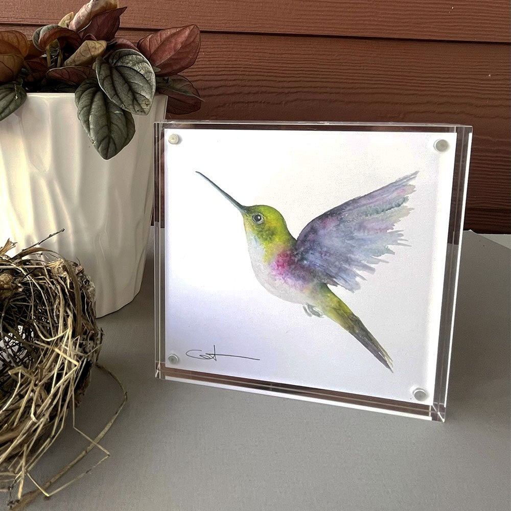 Watercolor Art Print of a flying hummingbird