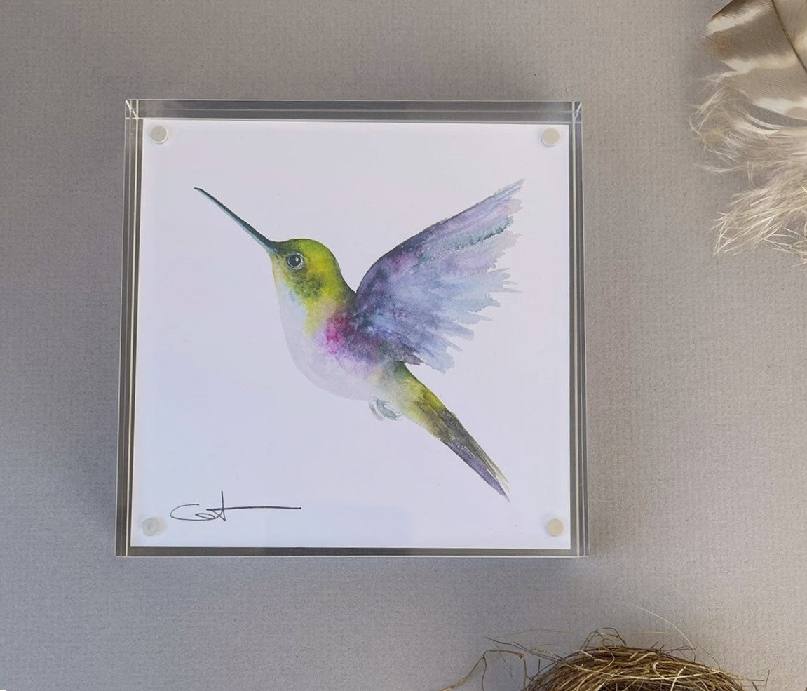 Fiona the Hummingbird Desk Art