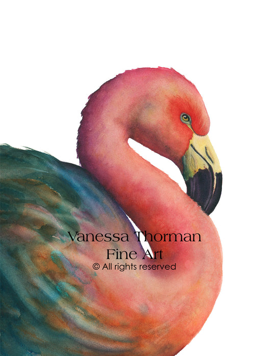 DON JUAN | Flamingo Original Watercolor Painting