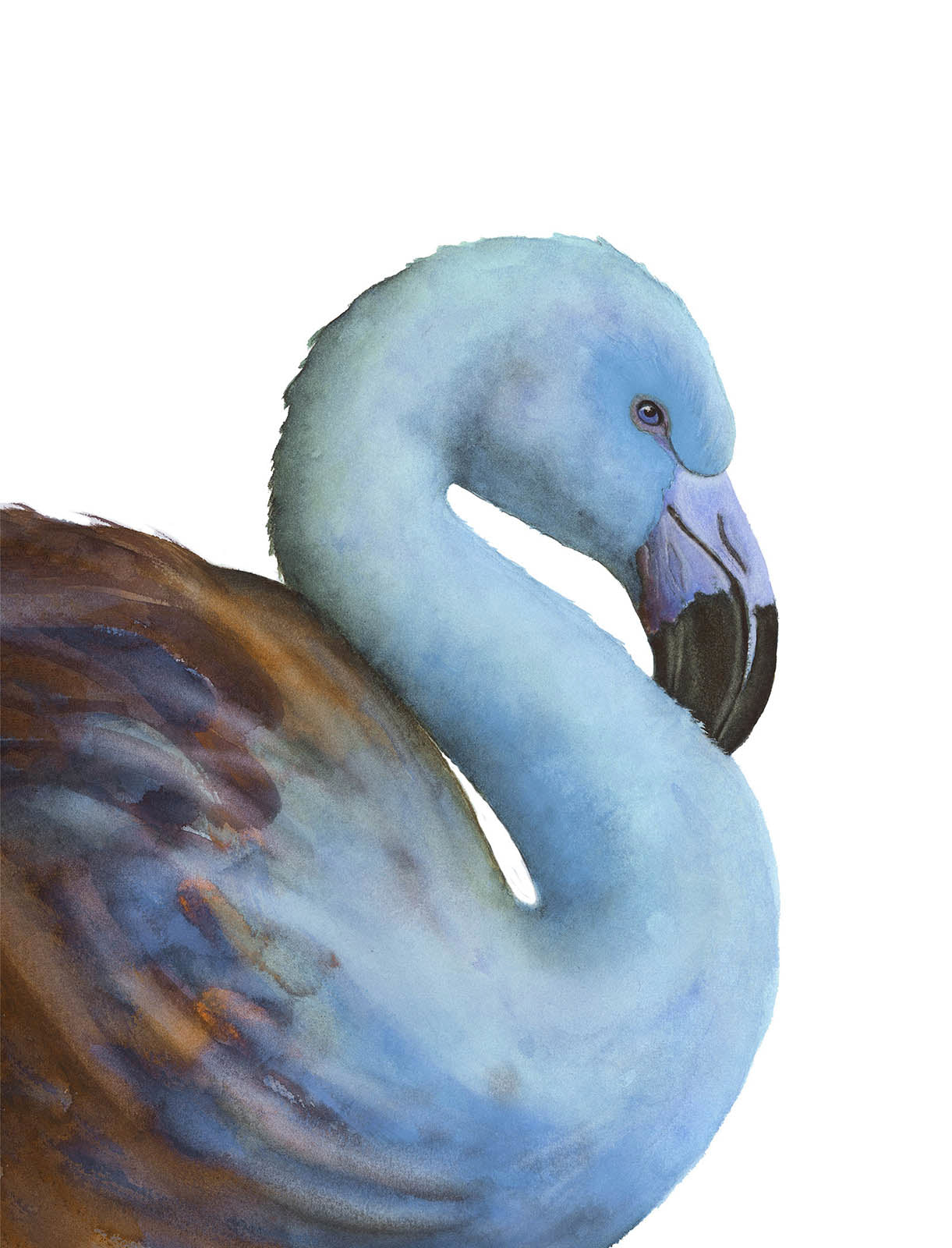 Blue Flamingo Watercolor Fine Art Print