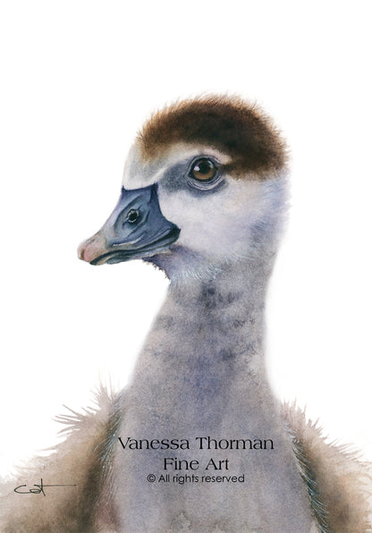 GEORGIE | Egyptian Gosling Original Watercolor Painting