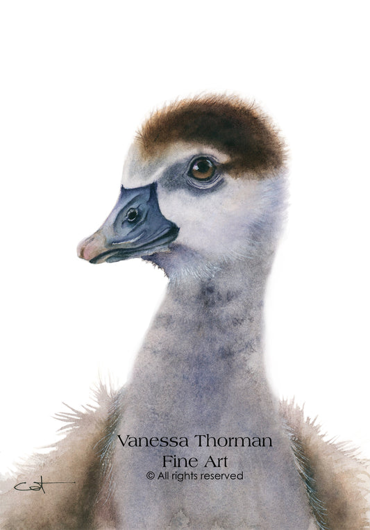 GEORGIE | Egyptian Gosling Original Watercolor Painting