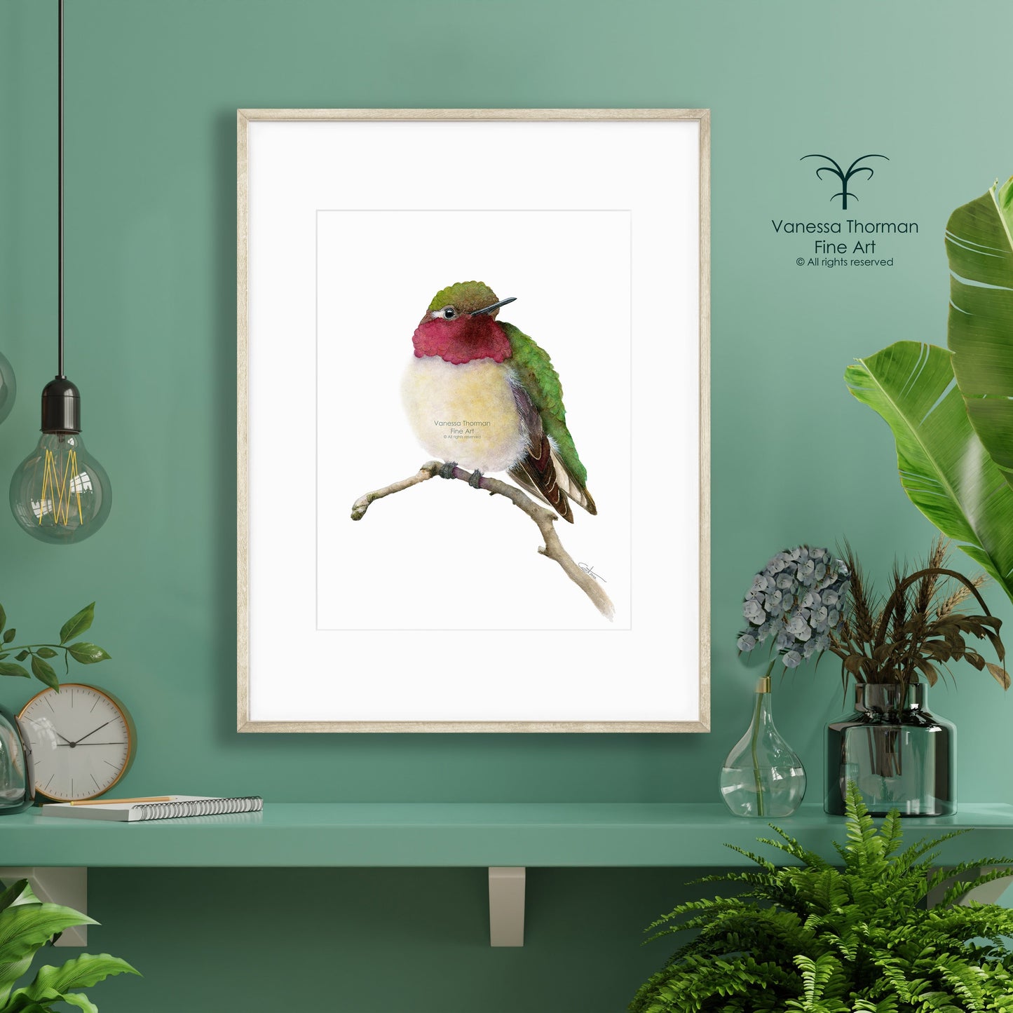 Anna's Hummingbird - Fine Art Print