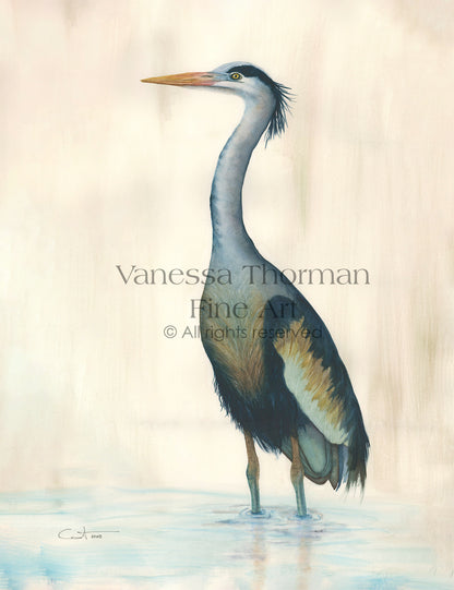 Marsh Heron (Blue) Watercolor Art Print – Coastal Bird Art - Fine Art Giclée