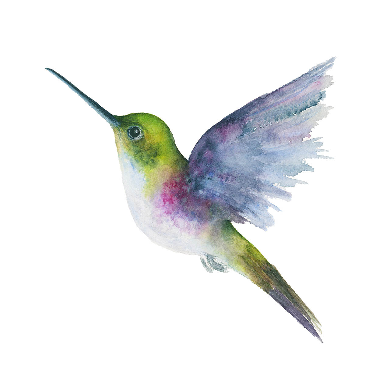 Flying Hummingbird | Hummingbird Watercolor Art Print | Bird Art Giclée