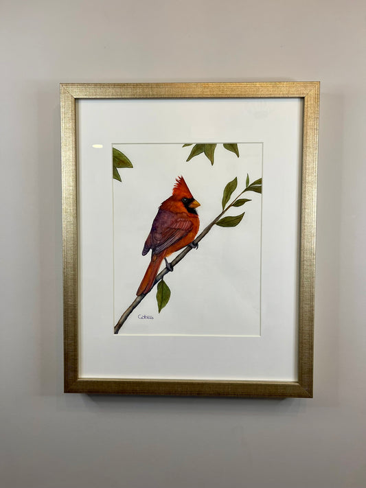 REDFORD | Northern Cardinal Art | Original Watercolor Painting