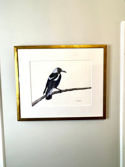 Black Tie (Magpie) - Original Watercolor Painting