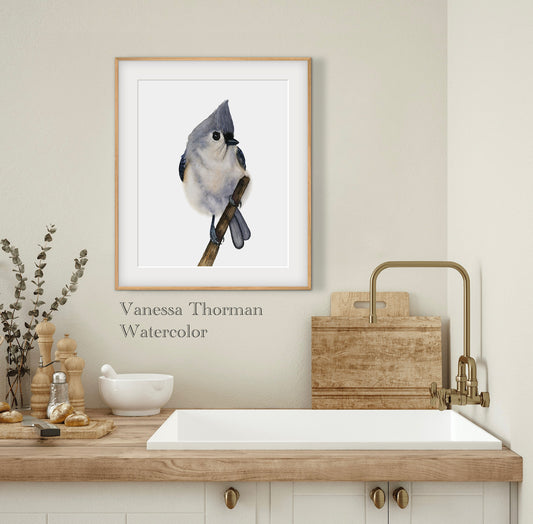 Tufted Titmouse Watercolor Fine Art Print