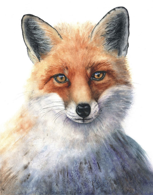 Italian Fox Portrait | Fox Watercolor Art Print | Animal Art Giclée