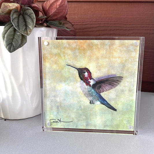 Bee Hummingbird | Hummingbird Desk Art – 5x5 Watercolor Print