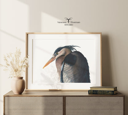 Great Blue Heron - Fine Art Print