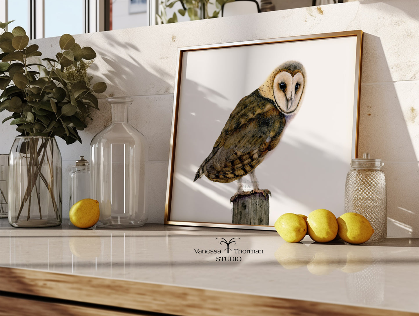 Barn Owl II - Fine Art Print
