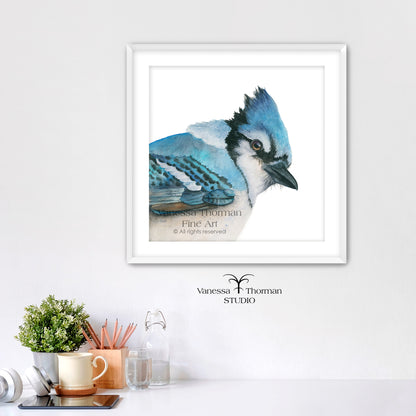 BOWIE | Blue Jay Fine Art Print