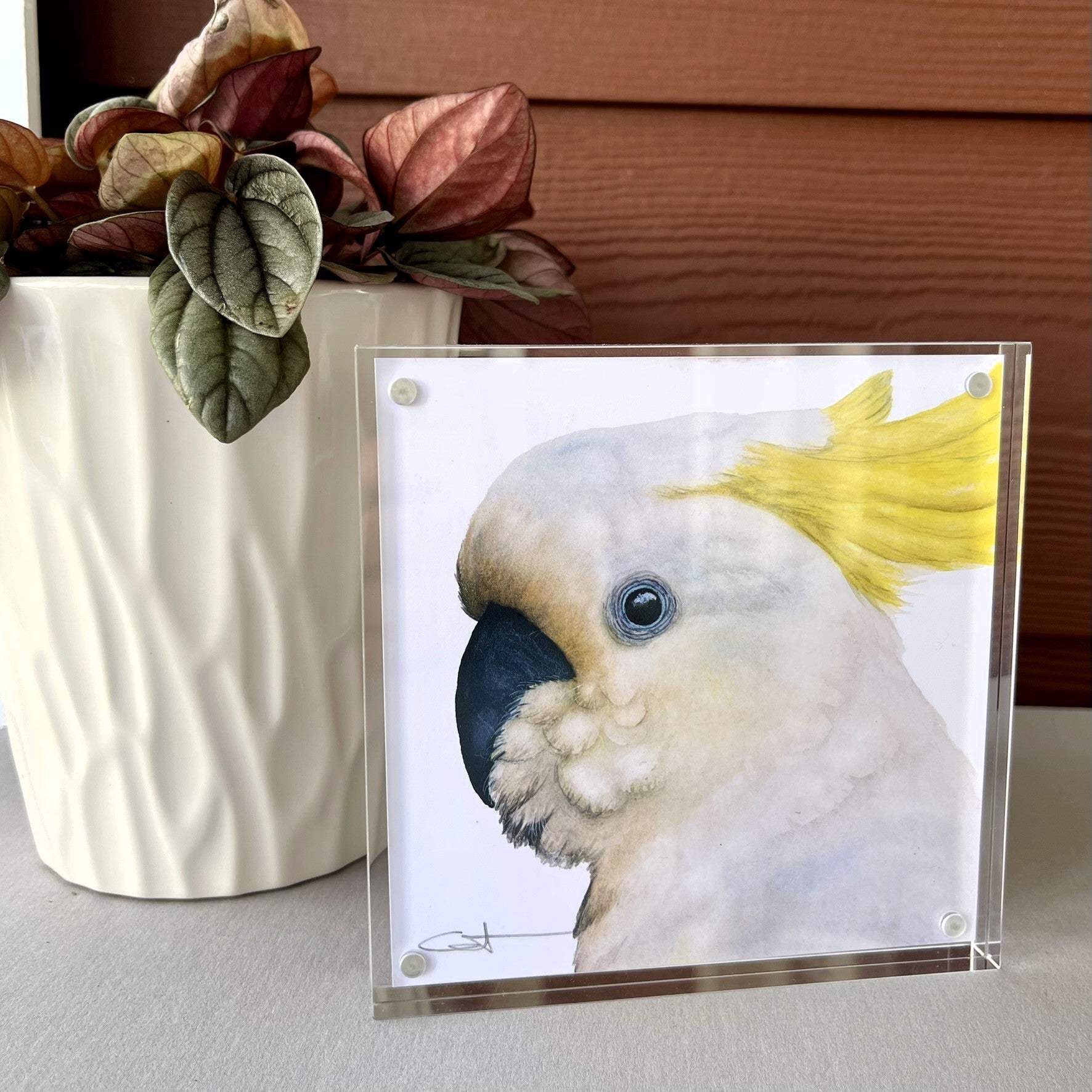 Framed desk art of a cockatoo