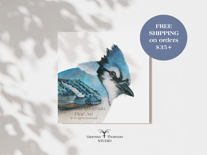 BOWIE | Blue Jay Fine Art Print