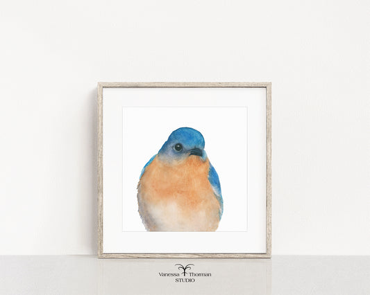 BERNARD Bluebird Portrait | Fine Art Print