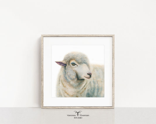 ADELAIDE - Sheep Fine Art Print