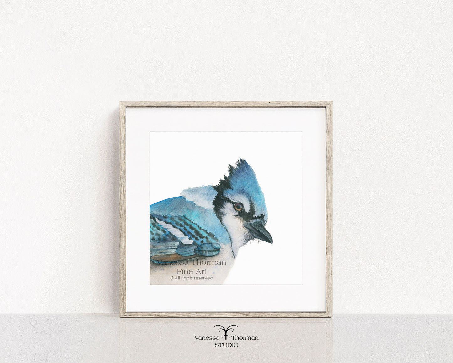 BOWIE | Blue Jay Fine Art Print
