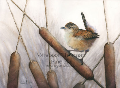 Marsh Wren Watercolor Art Print – Fine Art Giclée