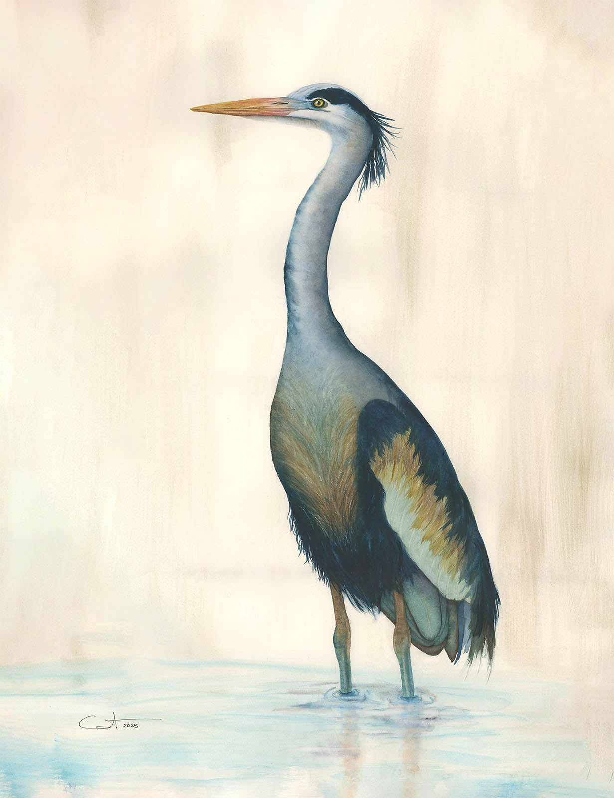Marsh Heron in Blue | Heron Watercolor Fine Art Print | Coastal Bird Art
