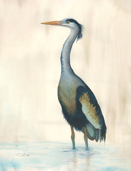 Marsh Heron in Blue | Heron Watercolor Fine Art Print | Coastal Bird Art
