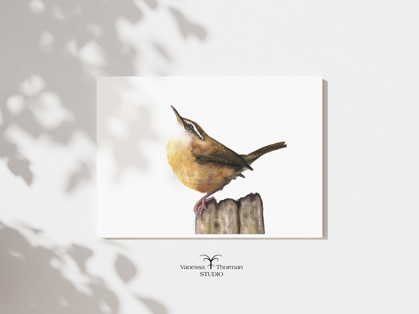Carolina Wren | Wren Watercolor Art Print | Bird Art Giclée