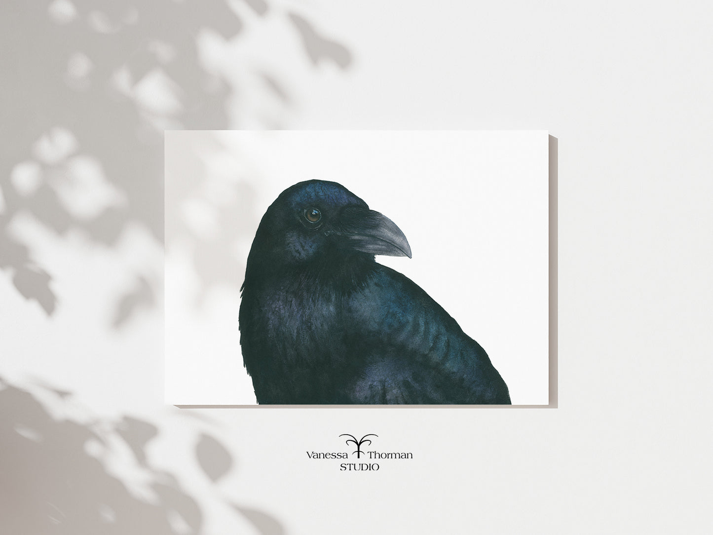 GALILEO | Raven Fine Art Print