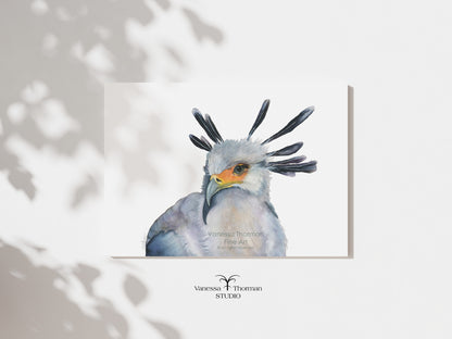 Secretarybird - Fine Art Print