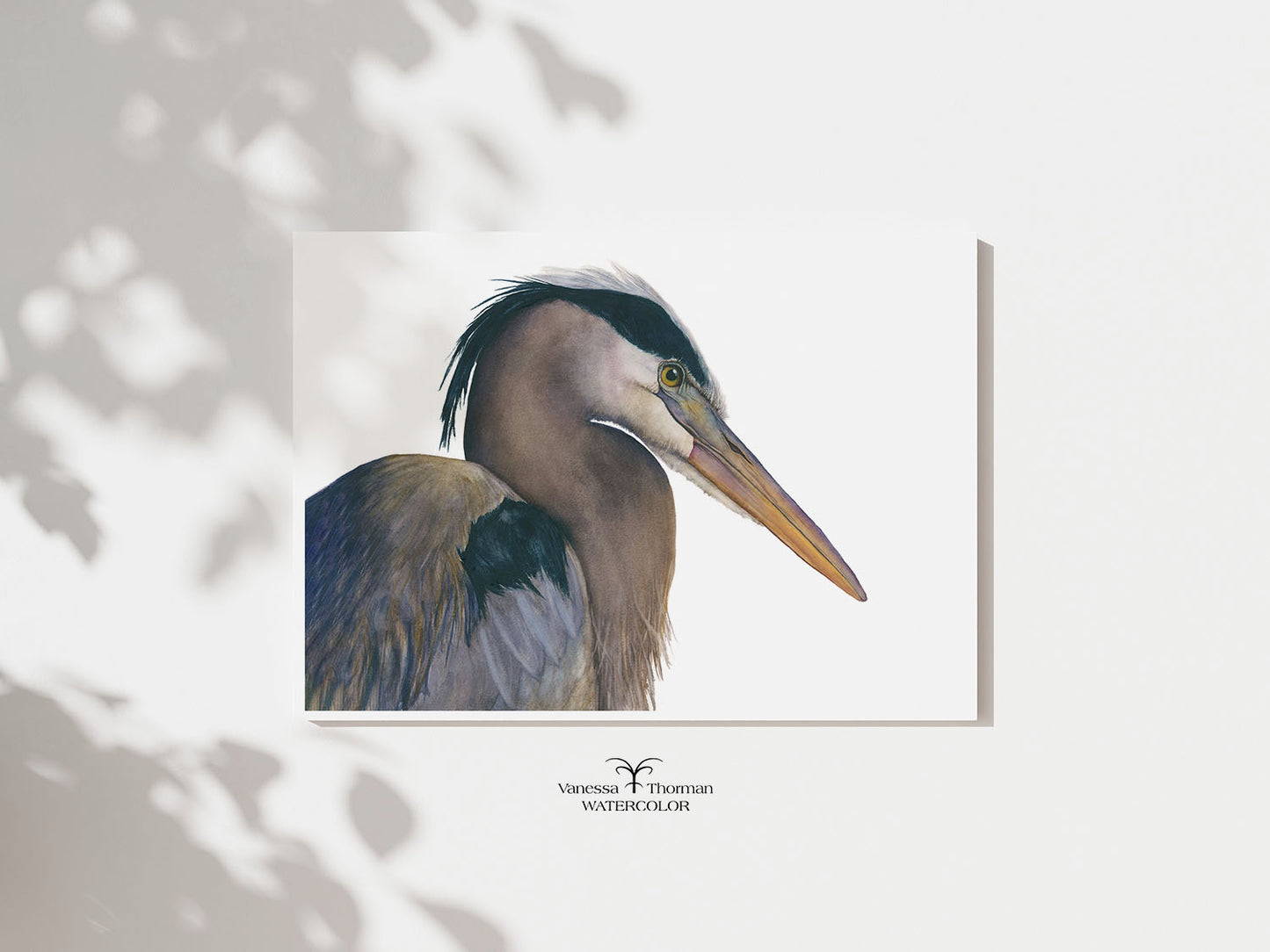 August | Great Blue Heron Watercolor Art Print | Bird Art Giclée