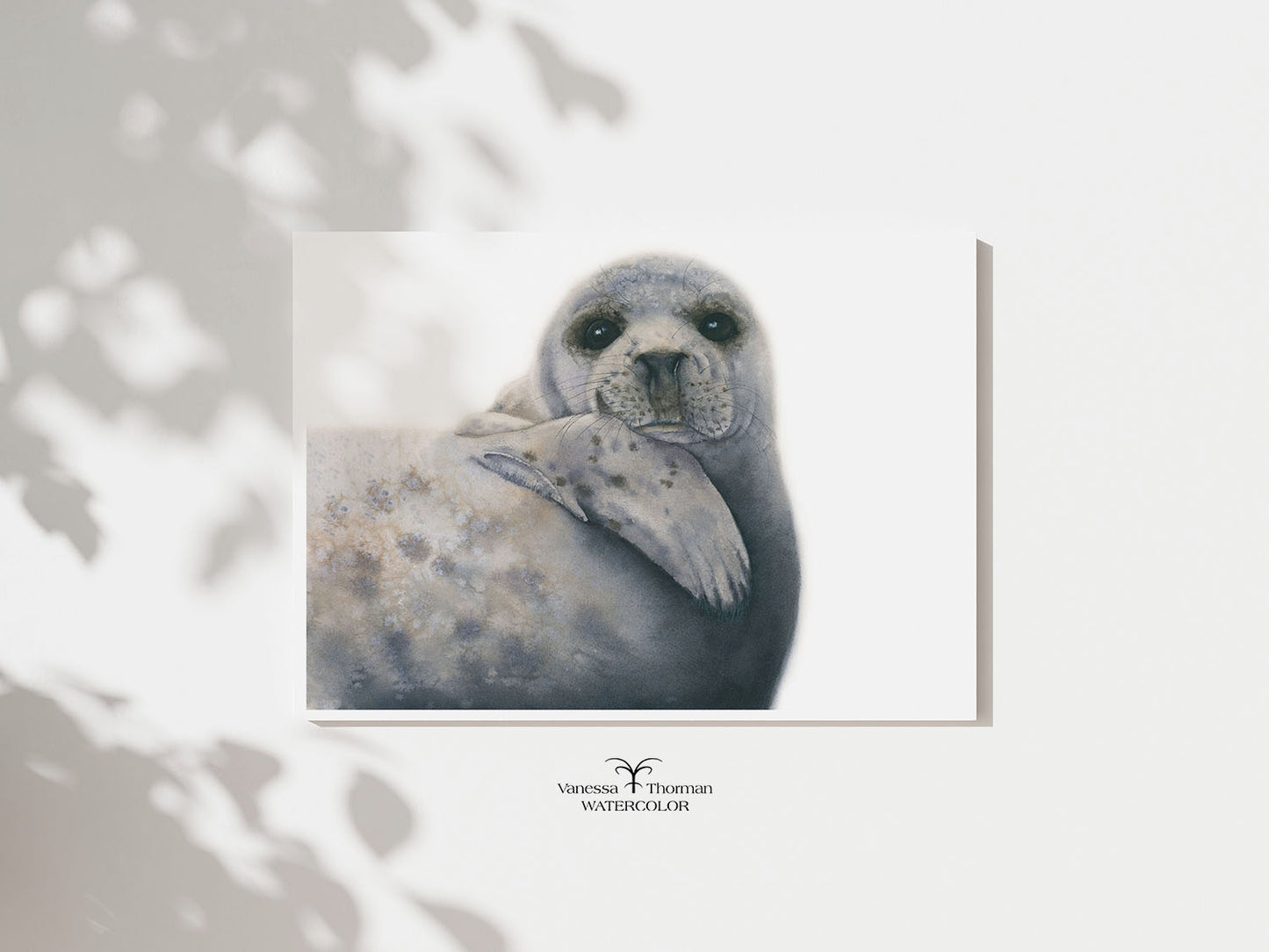 Albus the Grey Seal | Marine Animal Art | Watercolor Fine Art Print