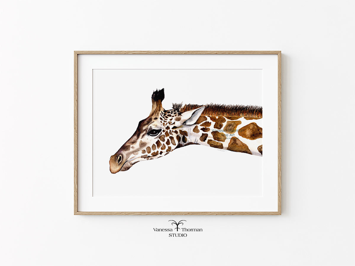 Giraffe Portrait - Fine Art Print