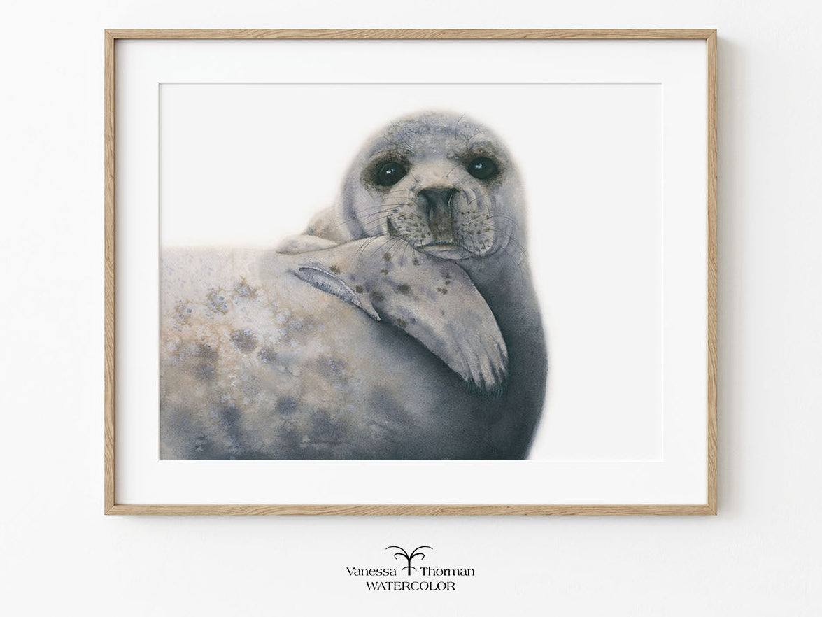Framed artwork of a seal on a white background