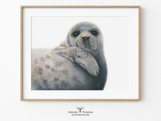 Framed artwork of a seal on a white background