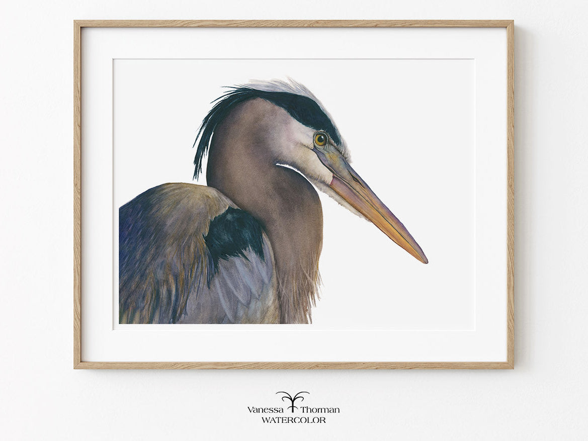 Framed artwork of a heron on a white background