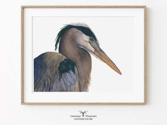 Framed artwork of a heron on a white background