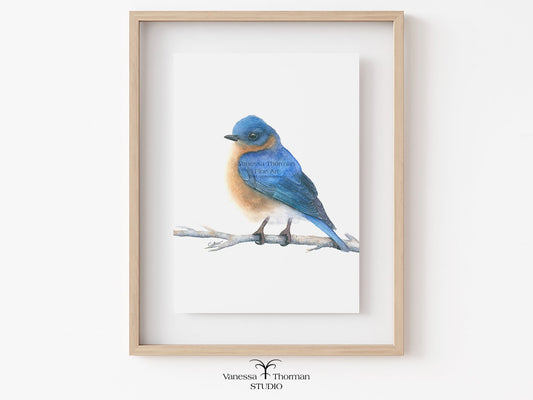 Framed artwork of a blue bird on a branch 