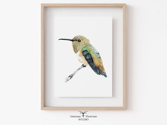Framed artwork of a hummingbird on a white background