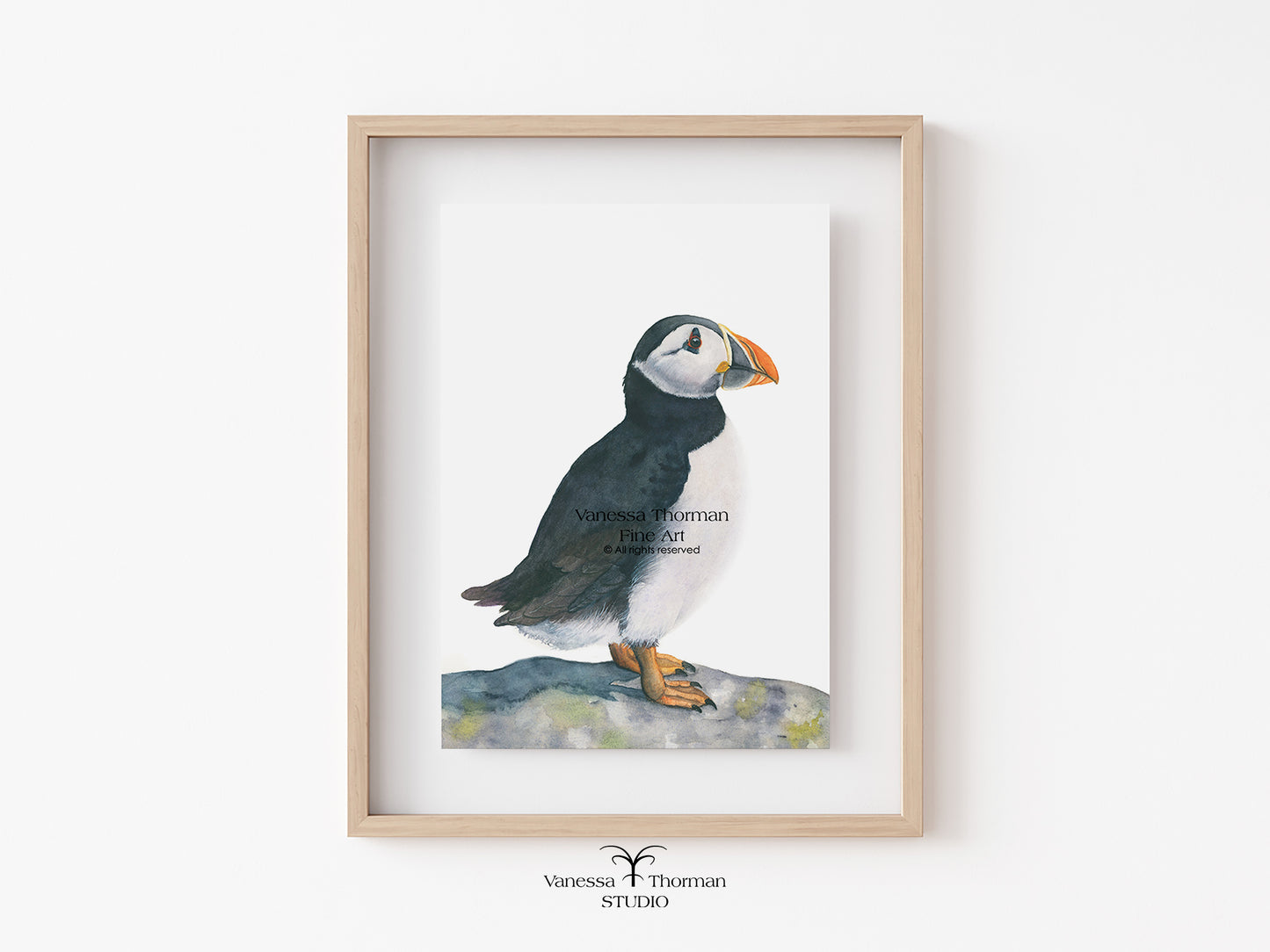 Framed artwork of a puffin on a white wall