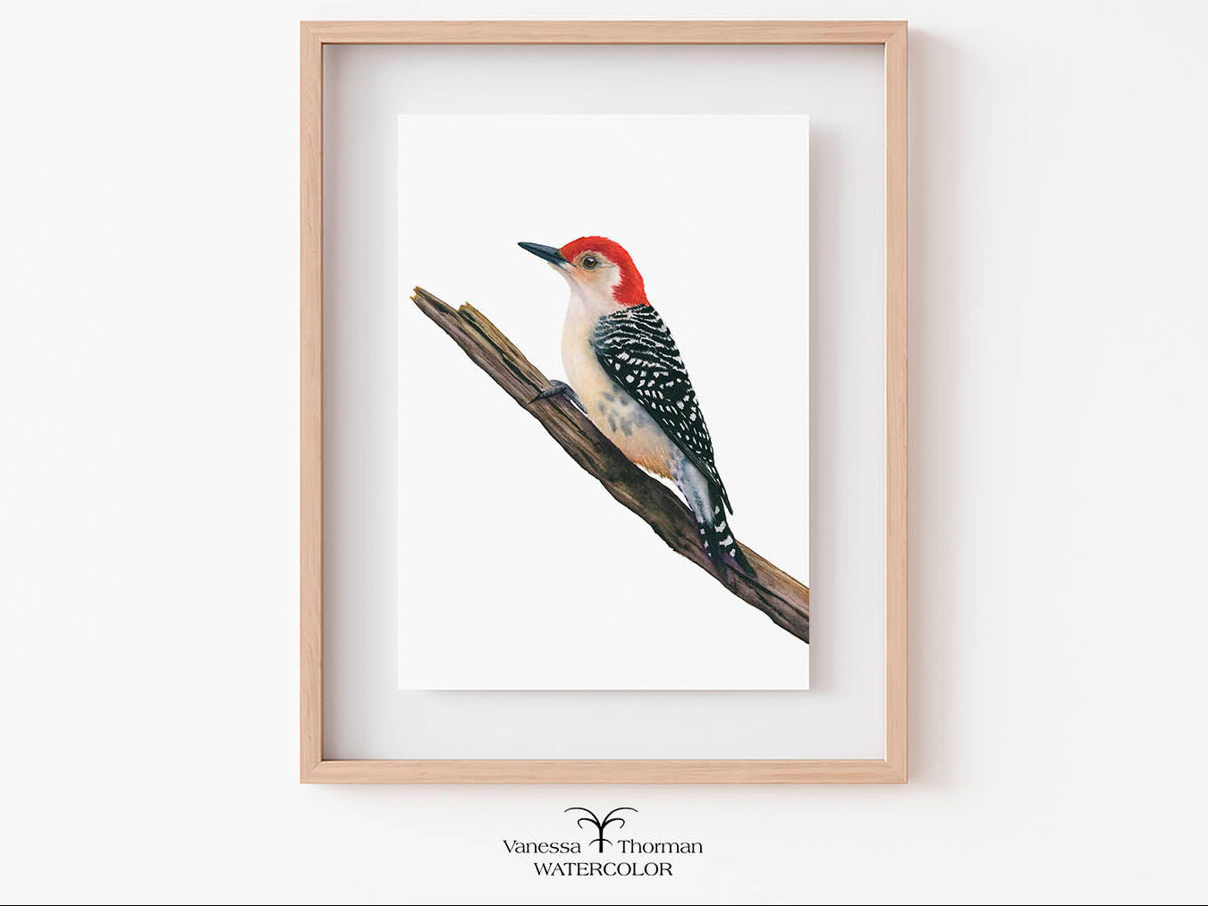 Framed watercolor painting of a red-bellied woodpecker bird on a branch 