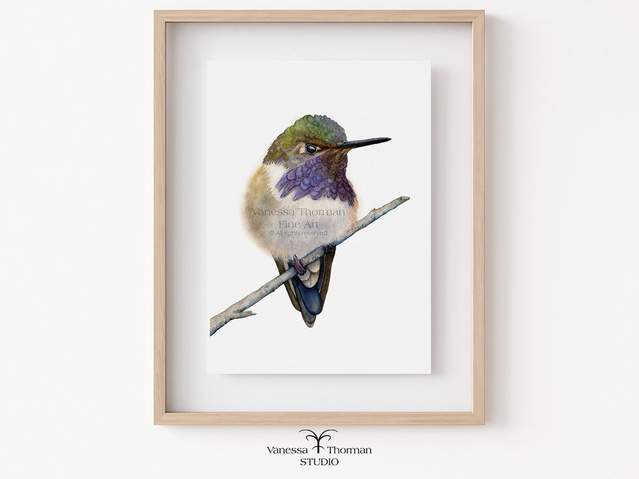 Framed artwork of a hummingbird on a branch against a white background