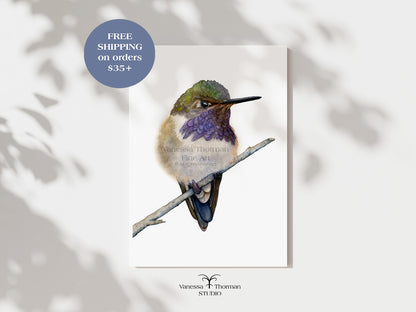 Volcano Hummingbird | Fine Art Print