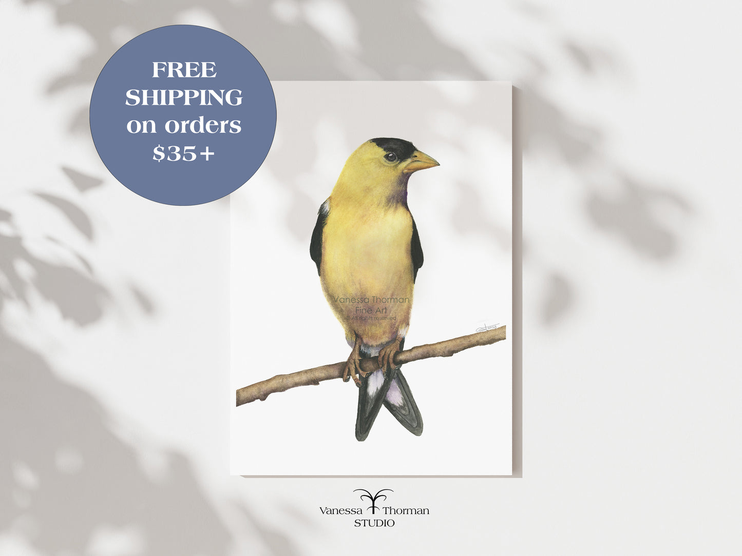 Goldfinch - Fine Art Print