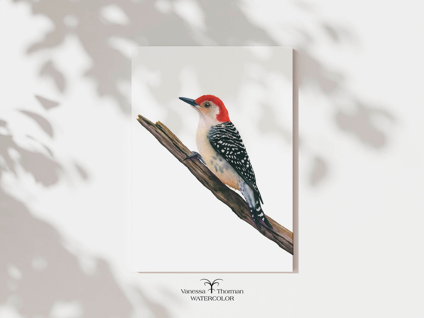 Red-Bellied Woodpecker | Woodpecker Watercolor Art Print | Bird Art Giclée